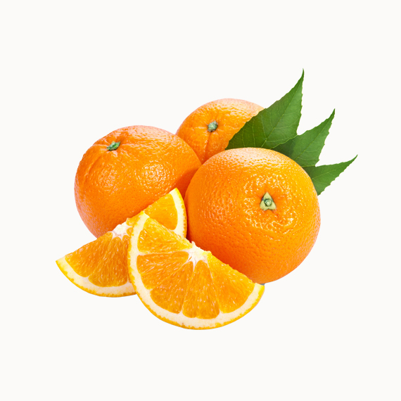 prd8.jpg
